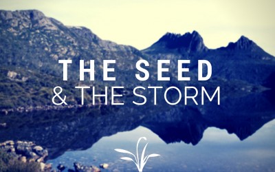 Seeds and Storms