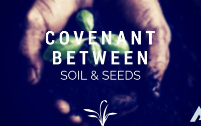 Seeds and Soil