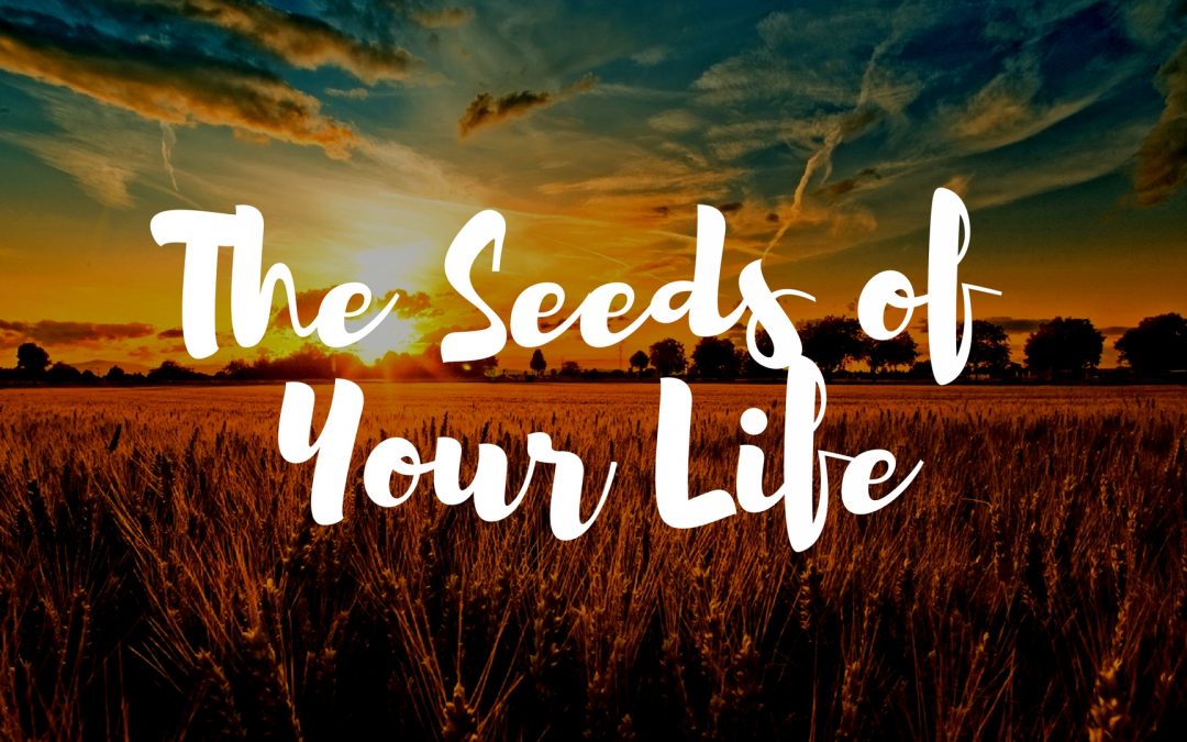 The seeds of life