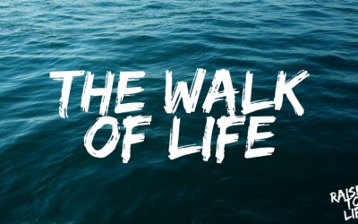 Raised to Life: The Walk of Life