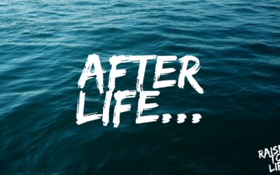 Raised to Life: After Life