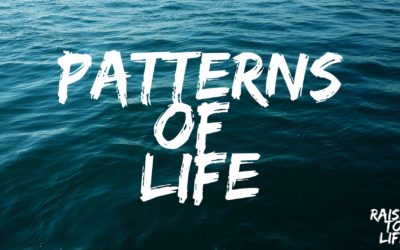 Patterns of Life